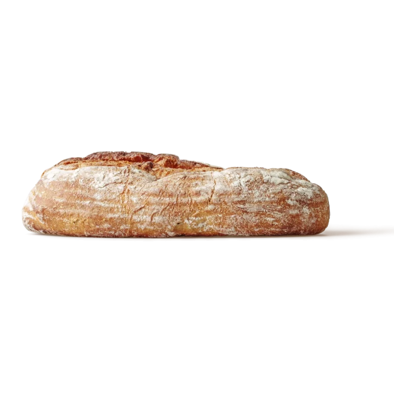 Italian Ciabatta