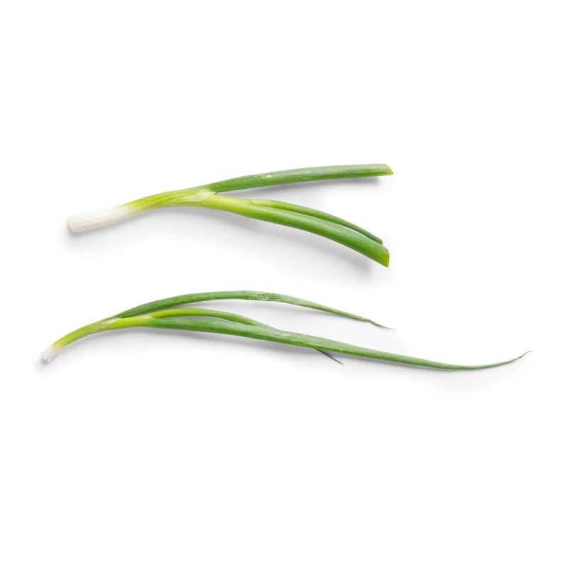 Bio Leek